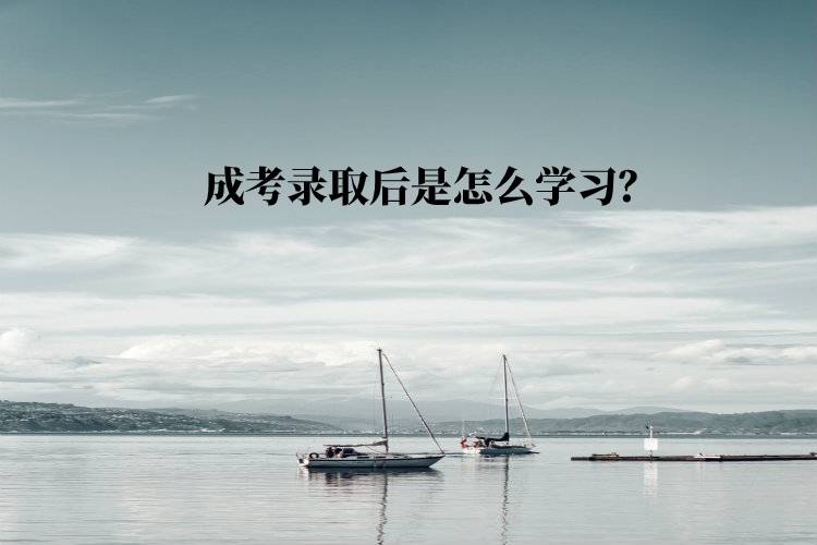 成考錄取后是怎么學習？