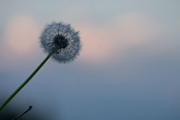 在嘉興專升本什么時(shí)候能報(bào)名和在哪兒報(bào)名比較靠譜？