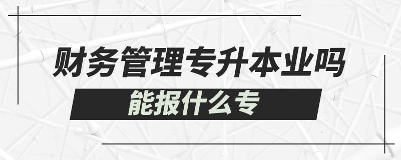 財(cái)務(wù)管理專升本能報(bào)什么專業(yè)嗎