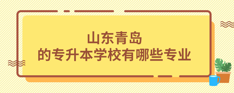 山東青島的專升本學(xué)校有哪些專業(yè)