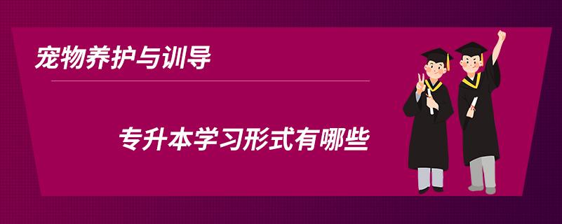 寵物養(yǎng)護(hù)與訓(xùn)導(dǎo)專升本學(xué)習(xí)形式有哪些