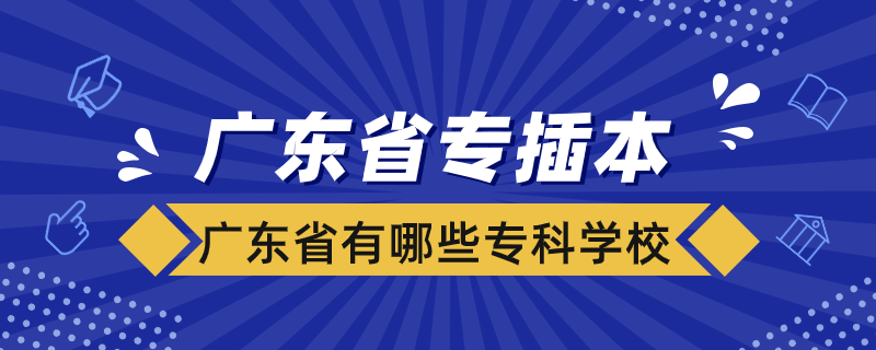 廣東省有哪些?？茖W(xué)校可以專插本