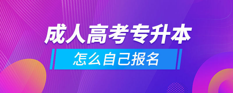 成人高考專升本怎么自己報(bào)名