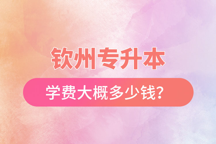 欽州專升本學(xué)費大概多少錢？