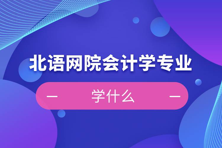 北語網院會計學專業(yè)學什么