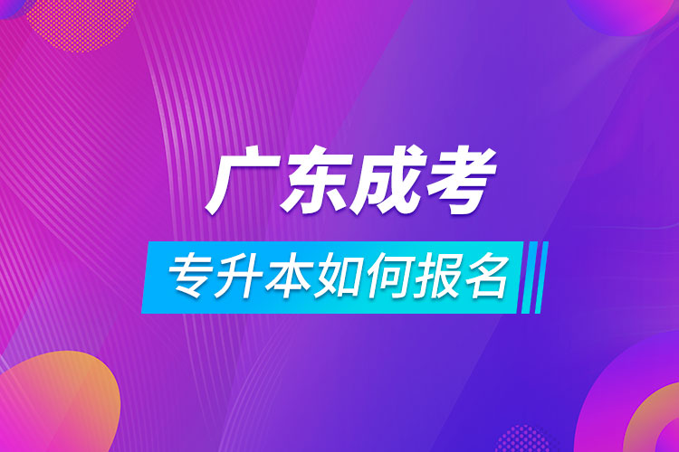 廣東成考專升本如何報名