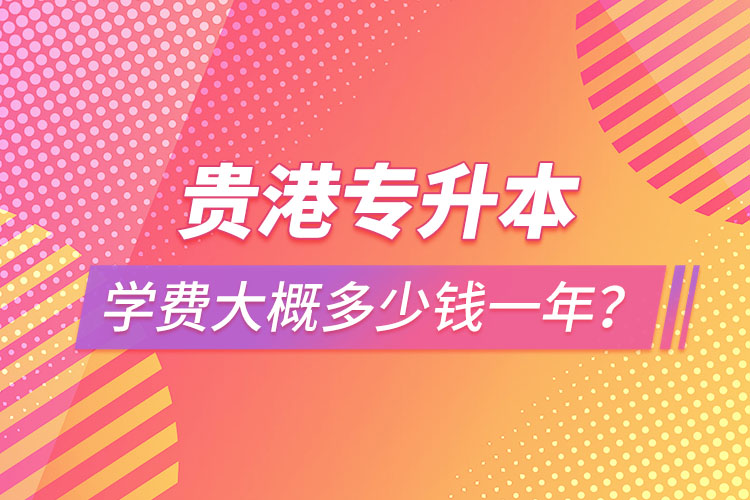 貴港專升本學(xué)費(fèi)大概多少錢一年？