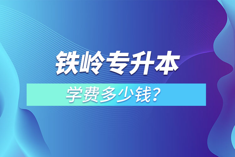 鐵嶺專升本學(xué)費(fèi)大概多少錢一年？