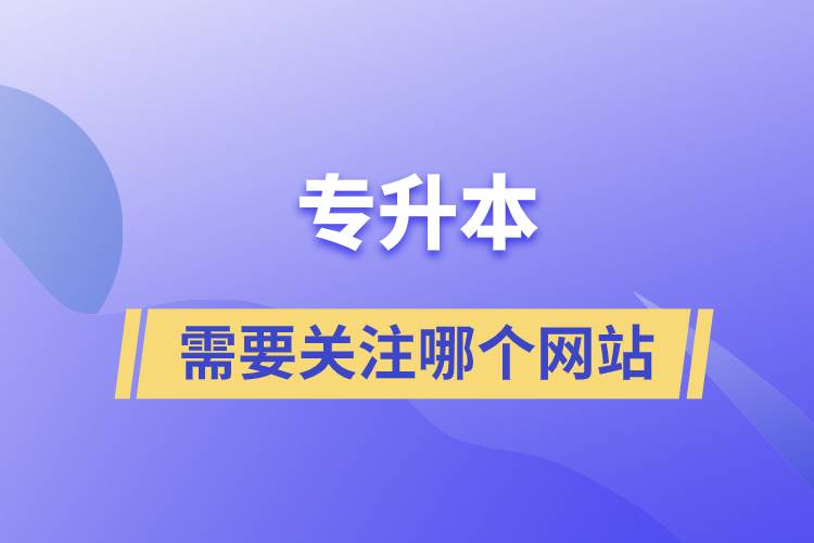 專升本需要關注哪個網站