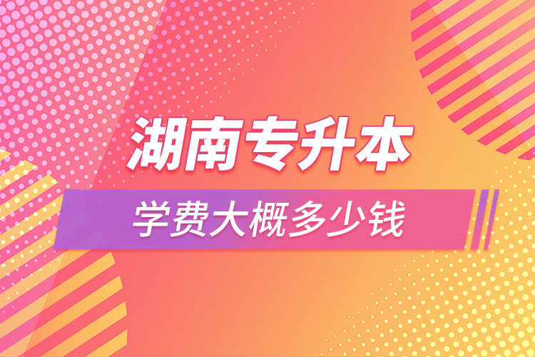 湖南專升本學(xué)費(fèi)大概多少錢一年？