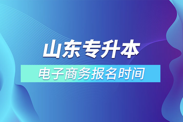 山東專升本電子商務