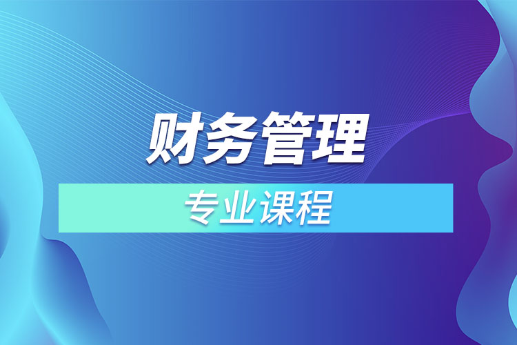 財務(wù)管理專業(yè)課程