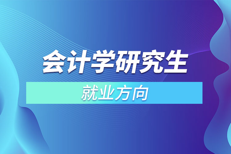 會計學研究生就業(yè)方向