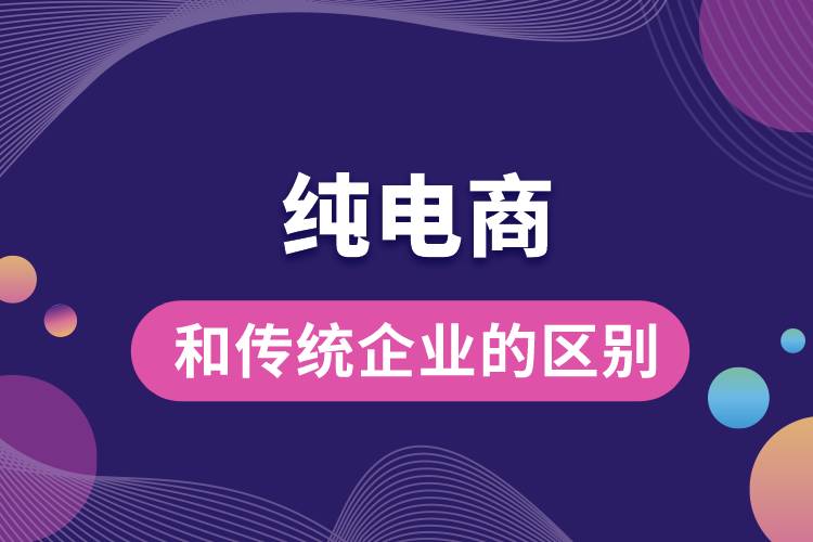 純電商和傳統(tǒng)企業(yè)的區(qū)別.jpg