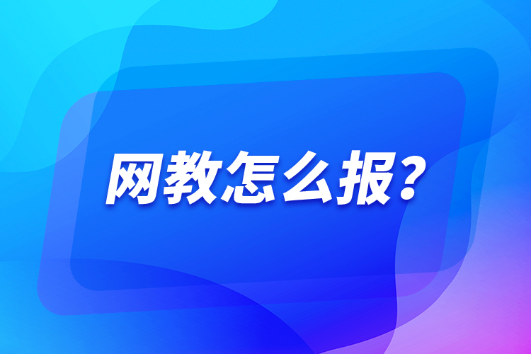 網(wǎng)教怎么報(bào)？