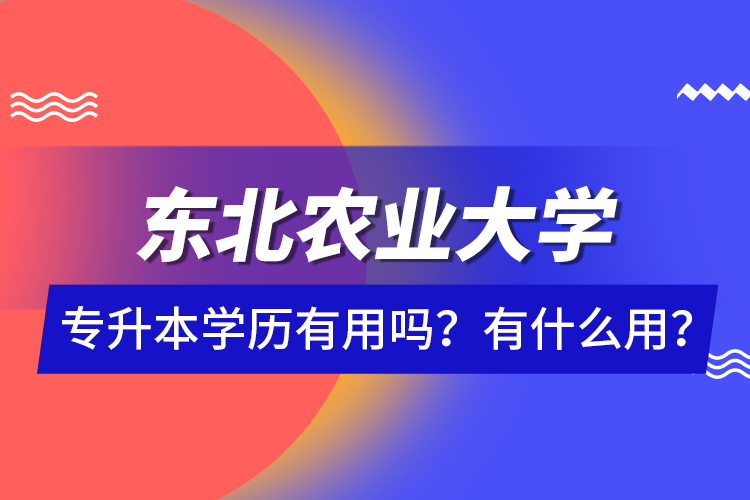 東北農(nóng)業(yè)大學(xué)專升本學(xué)歷有用嗎？有什么用？