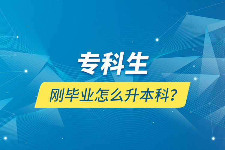 專科生剛畢業(yè)怎么升本科？