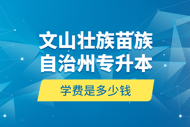 文山壯族苗族自治州專升本學費是多少錢？