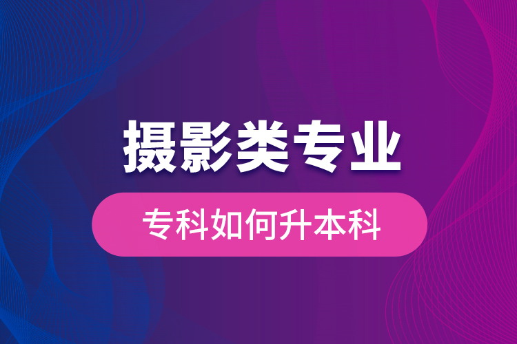 攝影類專業(yè)?？迫绾紊究? /></p>
	</div>
	<div   id=