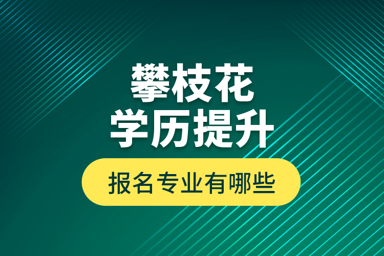 攀枝花學(xué)歷提升報(bào)名專業(yè)有哪些？